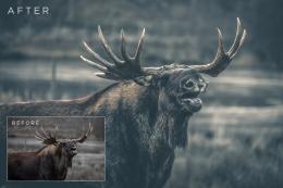 Matte Lightroom Presets Volume 1