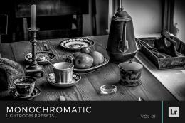 Monochromatic Lightroom Presets Volume 1