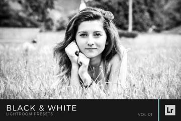 Black &amp; White Lightroom Presets Volume 1