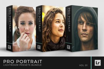 Pro Portrait Lightroom Presets Bundle Volume 1
